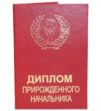 Диплом прирожденного начальника