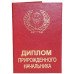 Диплом прирожденного начальника