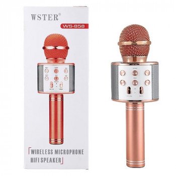Микрофон-караоке Wster WS-858 AUX/5Вт/SD