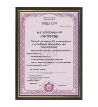 Шуточная Лицензия на осуществление капризов