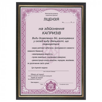 Прикольна Ліцензія на здійснення капризів