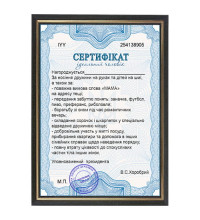 Шуточный Сертификат Идеальный муж