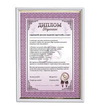 Шуточный Диплом невесты в рамке