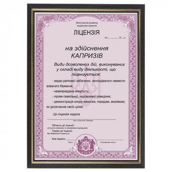 Шуточная Лицензия на осуществление капризов