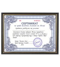 Шуточный Сертификат рамка "Участок на Луне"