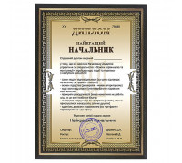 Шуточный диплом лучший Начальник в рамке