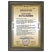 Шуточный диплом лучший Начальник в рамке