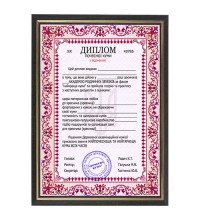 Жартівливий диплом Почесної куми у рамці
