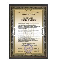 Шуточный диплом лучший Начальник в рамке