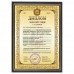 Жартівливий диплом тещі у рамці А4