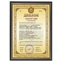 Жартівливий диплом тещі у рамці А4