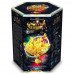 Зростаючі кристали. Набір для дослідів GROWING CRYSTAL