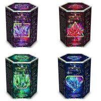 Зростаючі кристали. Набір для дослідів GROWING CRYSTAL