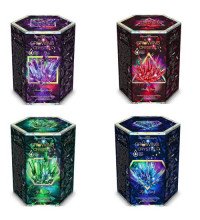 Зростаючі кристали. Набір для дослідів GROWING CRYSTAL