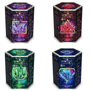 Зростаючі кристали. Набір для дослідів GROWING CRYSTAL