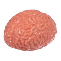 Игрушка-антистресс Мозги