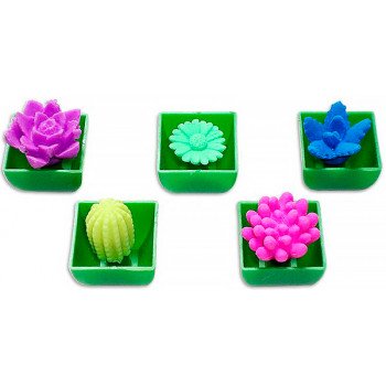 Зростаюче рослина в воді - іграшка Растишка